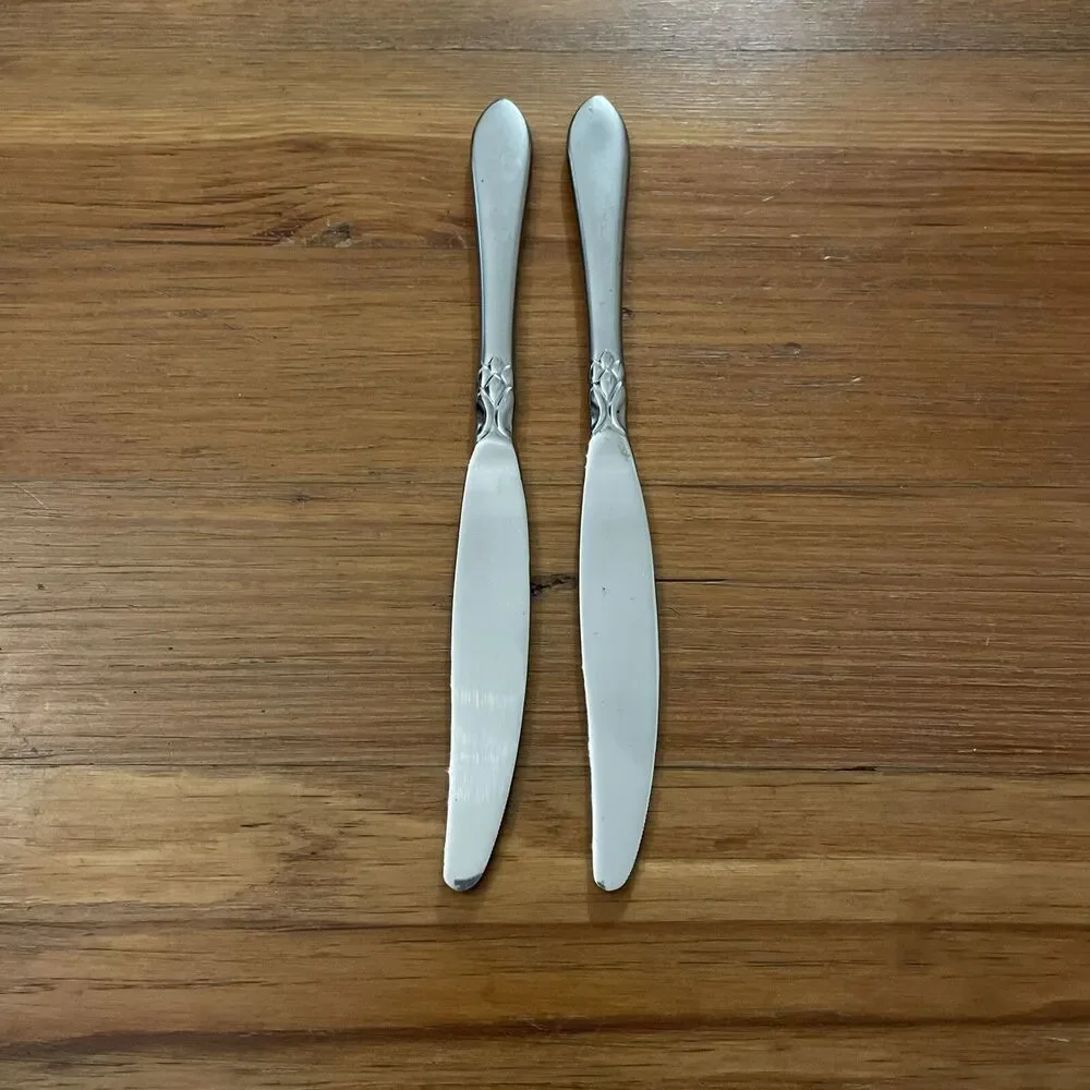 Oneida Jacqueline Frosted Stainless Dinner Knife 9 5/8 in Discontinued Set of 2